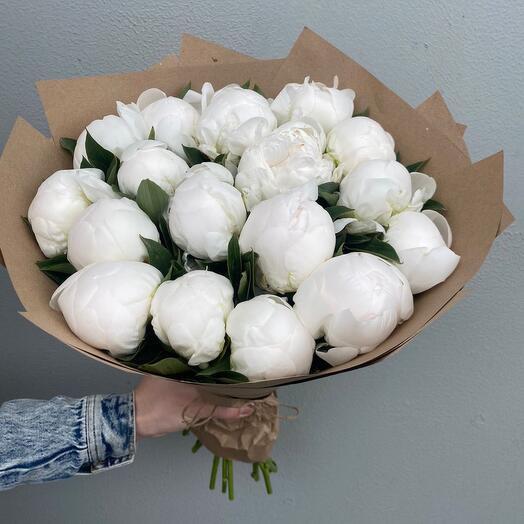 Пионы белые 19 штук Голландия