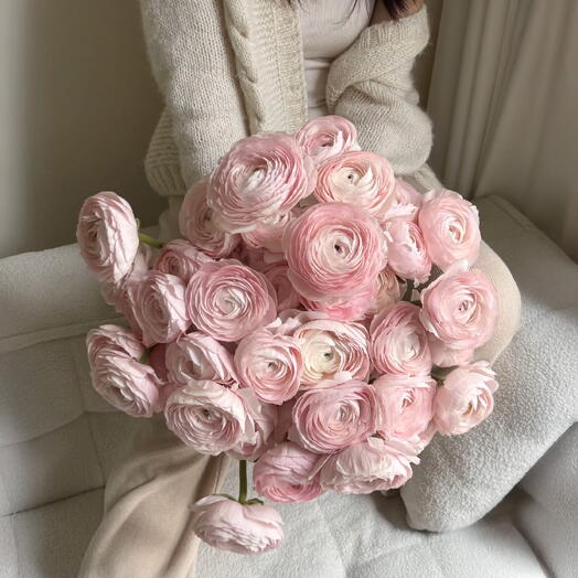 51 PINK RANUNCULUS