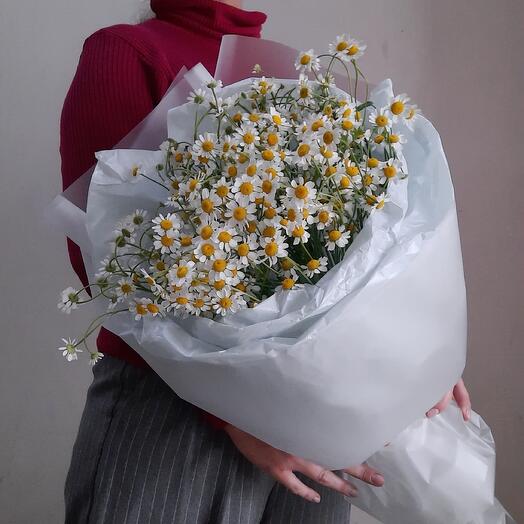 Букет ромашек