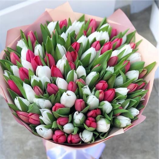 101 tulips (red and white )