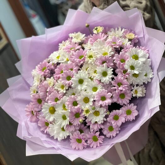 Ромашковый микс