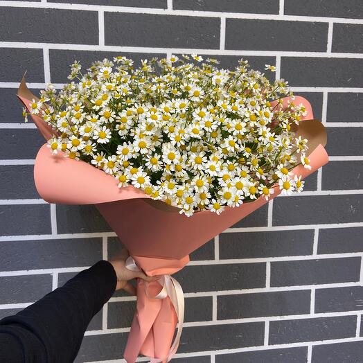 Ромашки в букете