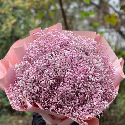 Gypsophilia Bouquet N-107