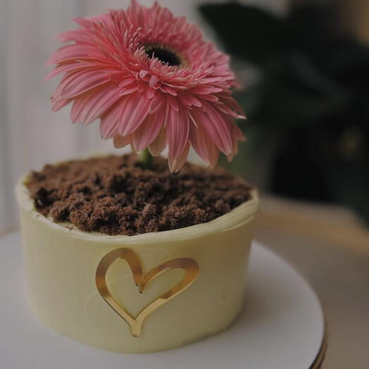 Tbilisi Cake