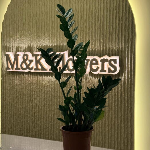 M&K Flowers