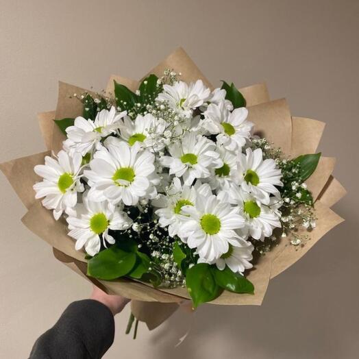 Ромашка с гипсофилой