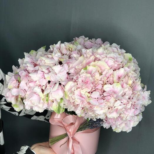 3 hydrangeas in a hatbox