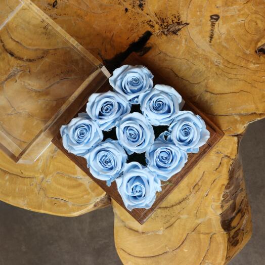 Light Blue Nueve Infinity  Rose