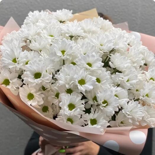 Daisies
