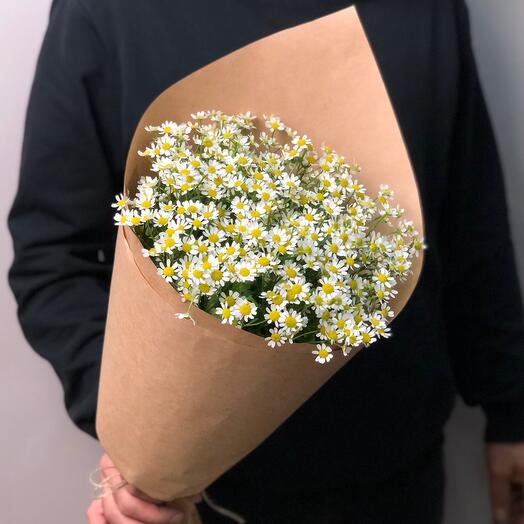 BEAUTY FLOWERS