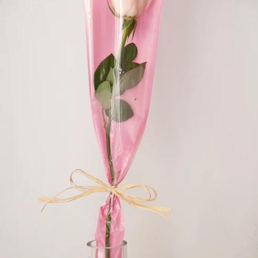 Pink Single Rose