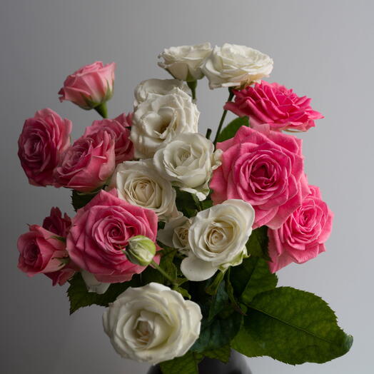 Lovely Pixels: 6 White Baby Roses   6 Pink Baby Roses Arrangement