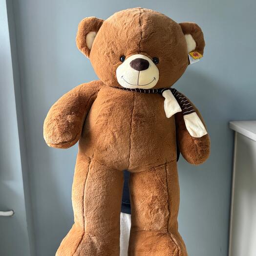 Плюшевый мишка 🧸