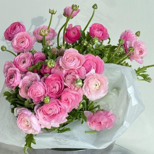 Ranunculus pink 29 stems