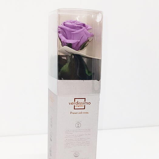 Rosa Eterna "Encanto Violeta"