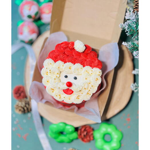 Santa Claus Christmas Bento Cake