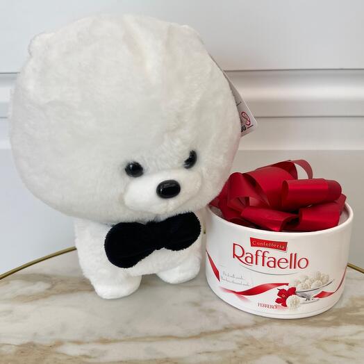 Combo 🔥 🔝 perro Bichon blanco y Caja de dulces Raffaello ♥ ️ 🔝 🔥 