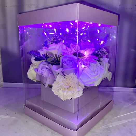 Violet💜