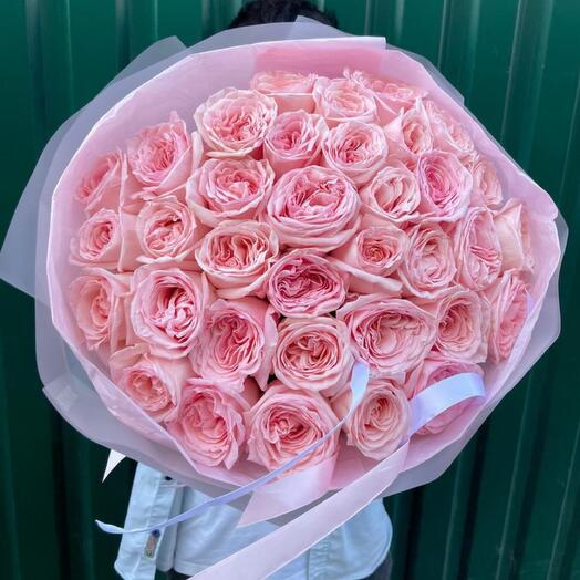 51 Роза пионовидная Франция ароматоная Pink O Hara