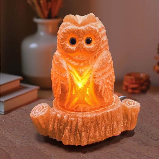 Солевая лампа из белой соли "Мудрая Сова на пне"