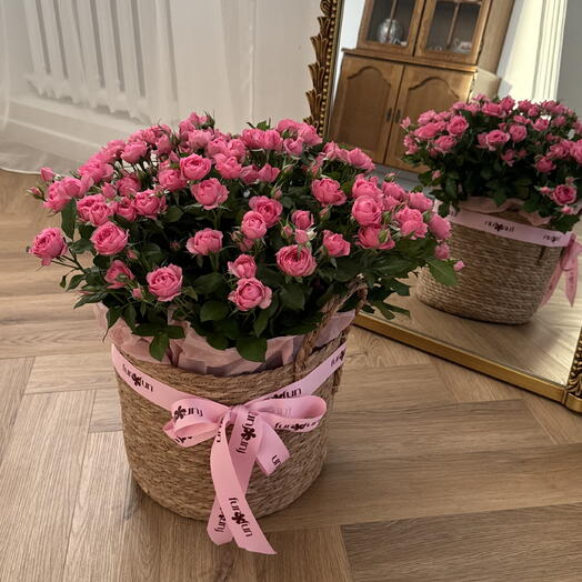 Fun Fun Flowers