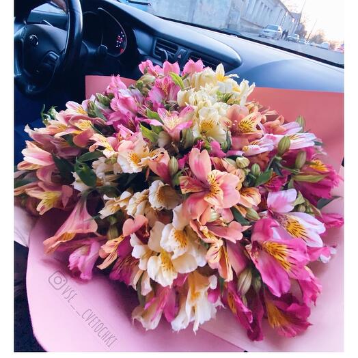 Bouquet Mix alstramery