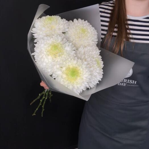 5 white chrysanthemums