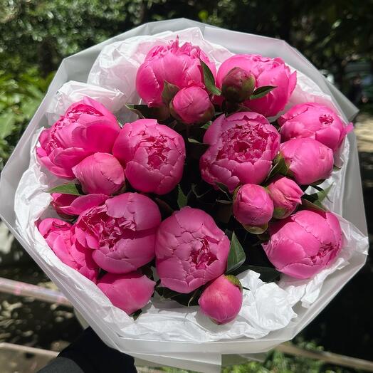 19 малиновых пионов