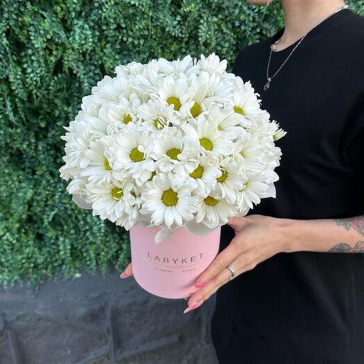 LABYKET24 Flowers studio