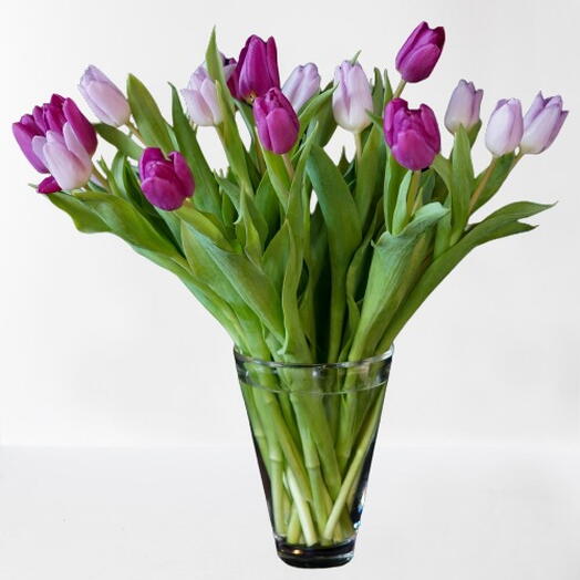 La Fete Vibrant Delight: 11 Tulip Bouquet