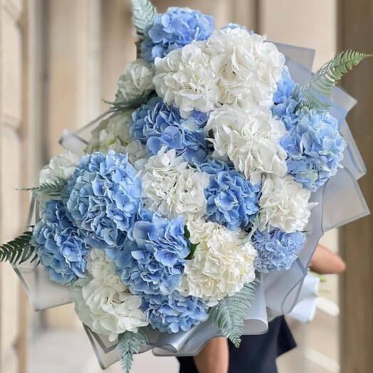 Bouquet of blue and white hydrangeas