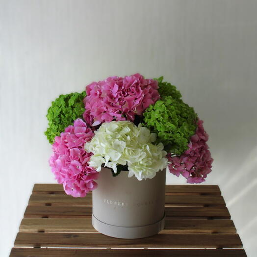 Mixed Hydrangea Box