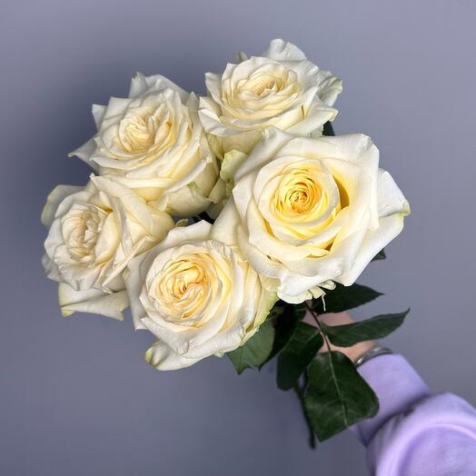 Five white roses