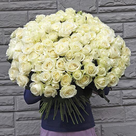 101 White Roses