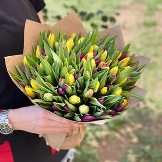 Yellow and purple tulips