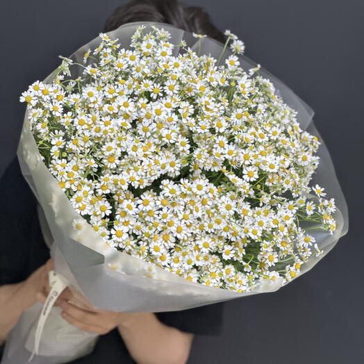 Букет из ромашек 🌸