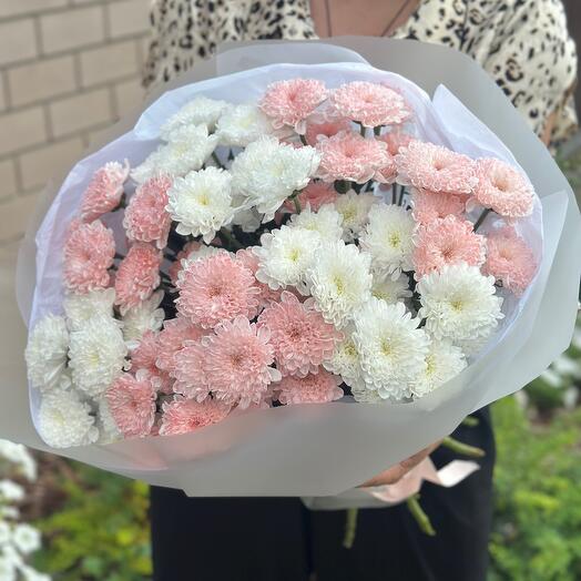 Кустовые хризантемы алтай🫶🏼