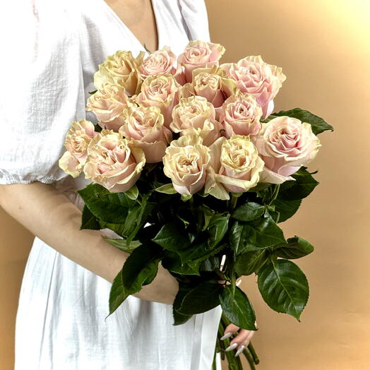 Розовая роза Пинк Мондиаль Pink Mondial 15 шт