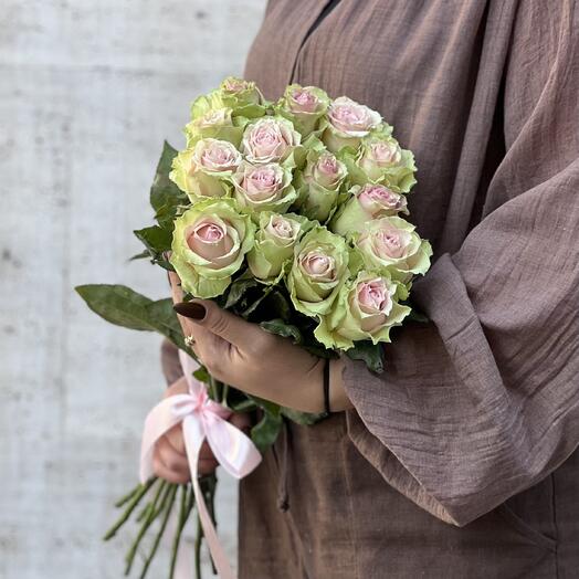 Роза Зелено-розовые