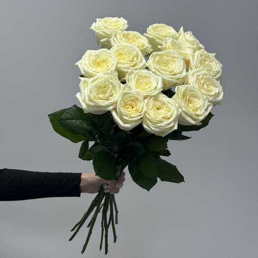 Krokus Flo