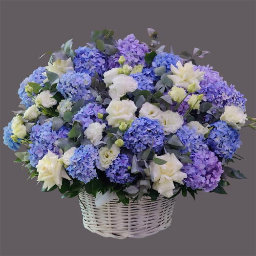 Fiona Flowers