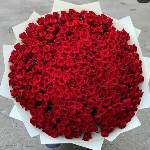 201 Roses Huge bouquet 💐