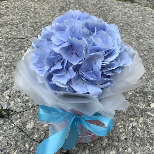 Caja de sombrero de Hortensia"nube azul"