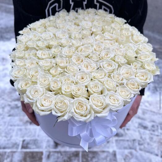 White rose in Box