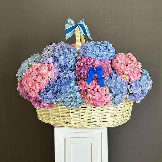 Hydrangea  basket