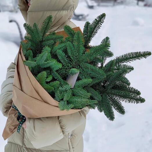 Нобилис в крафте