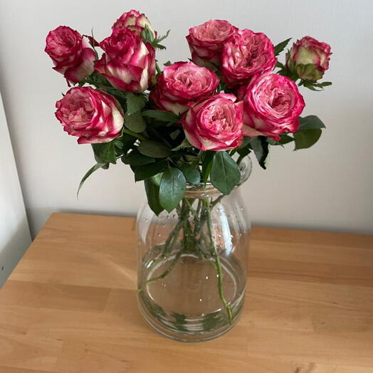 Garden Roses Pink White