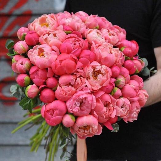 Bouquet of 51 coral peonies premium