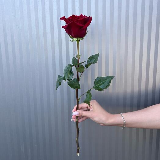 Romantic