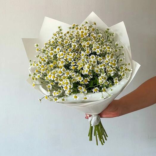 Букет из белых ромашек